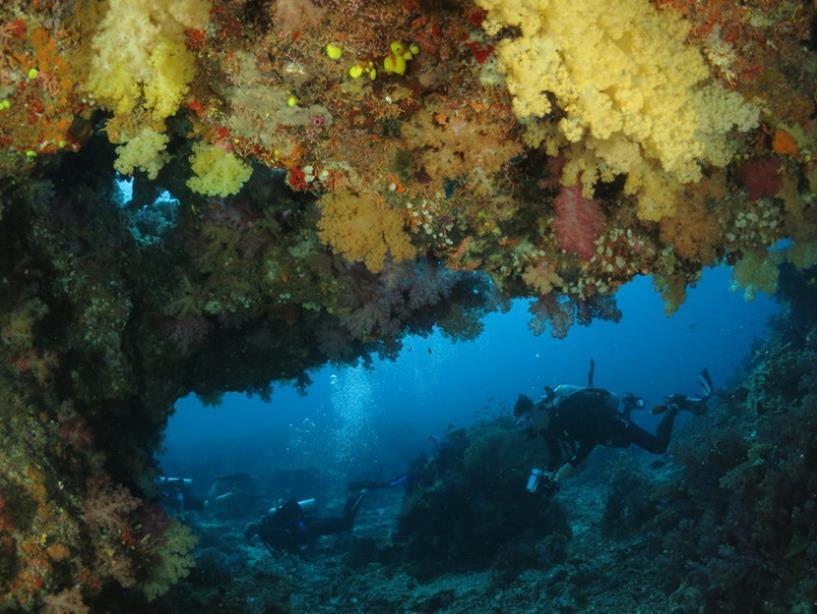 Taveuni Dive Resort Waiyevo Εξωτερικό φωτογραφία